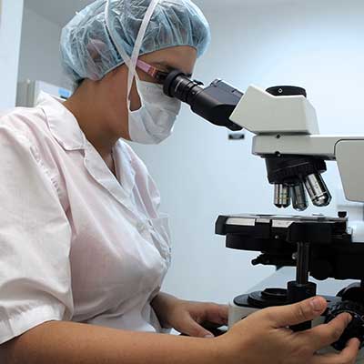 Lab Facility